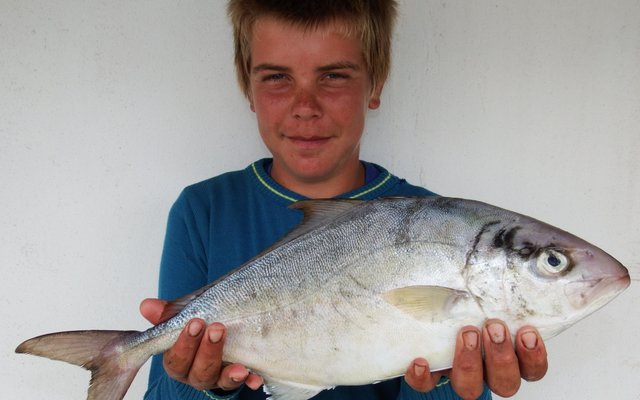 Hennie Groenewald (14) met sy langvin-geelstert wat hy by Gansbaai hawe gevang het  